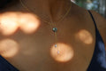 Abalone drops